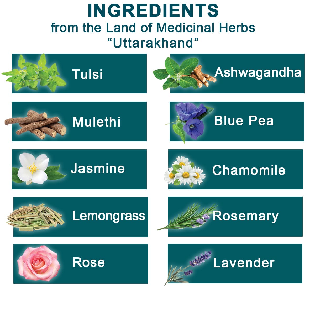 Ingredients of Himalayan Anxiety Tea as Tulsi, Ashwagandha, Mulethi, Blue Pee, Jasmine, Chamomile, Rosemary, Lemongrass, Lavender, Rose, a Midicinal Tea blend