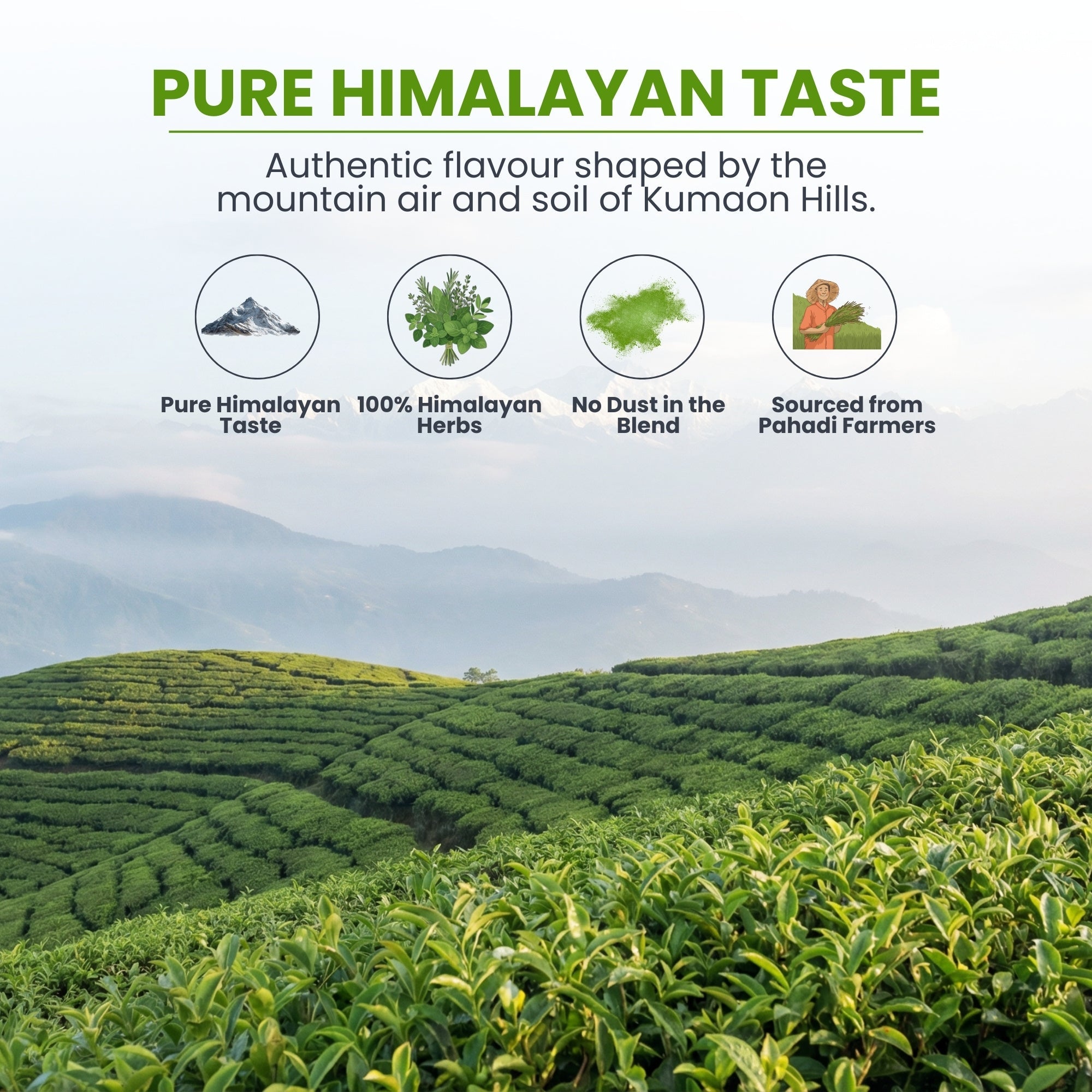 AHAM HIMALAYA Rosemary Green Tea 50 Cups | Green Tea for Glowing Skin | Rosemary for Weight Management | Pure Detox Tea & Digestive | Supports Hair Growth | Weight Loss Tea| - Natural Organic Himalayan Products