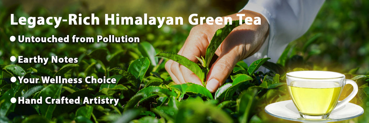 Aham Tea Tulsi Green Tea | Himalayan Green Tea by Aham Himalaya – Natural ...