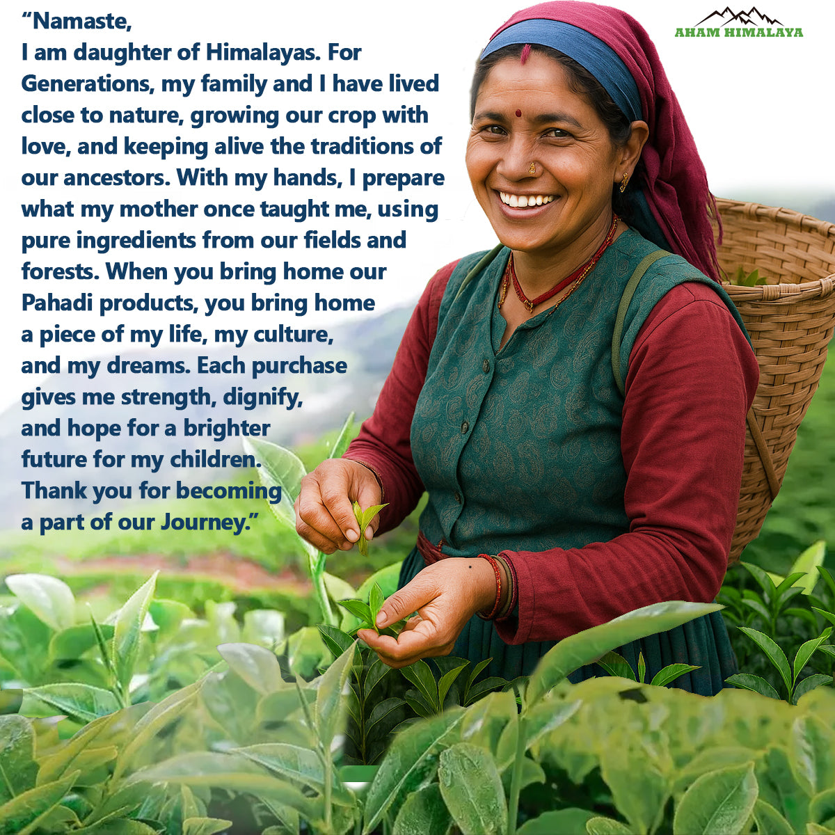 AHAM HIMALAYA Himalayan Green Tea| Tulsi Green Tea| Stress Relief|70Gm